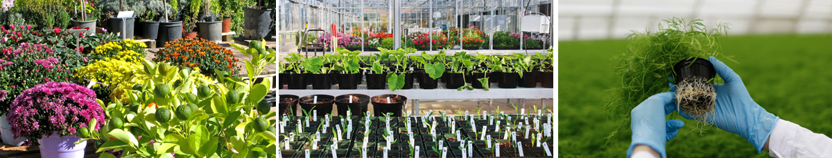 One-stop source for plastic pot stakes and plastic wired labels